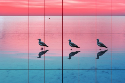 Skupina ptáků kráčejících po odrazivém povrchu