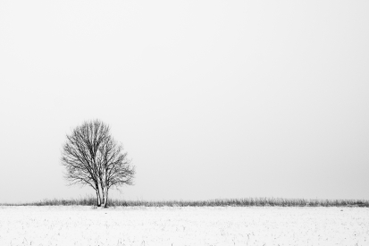 Obraz Solitér