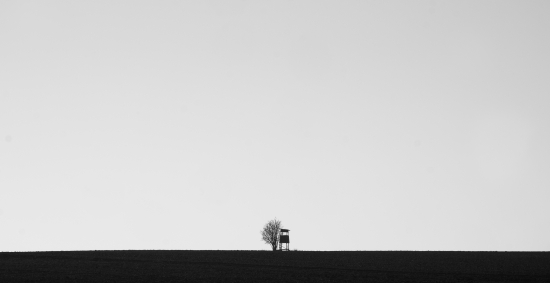 Obraz Minimalistický černobílý obraz s posedem a stromem