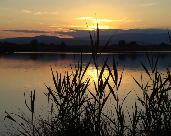 Obraz Večer nad vodou