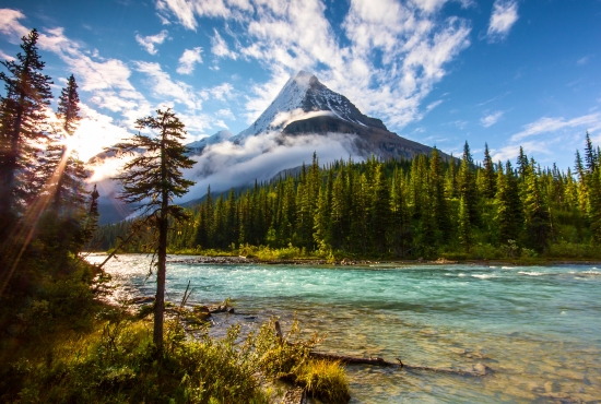 Obraz Mount Robson - Kanada