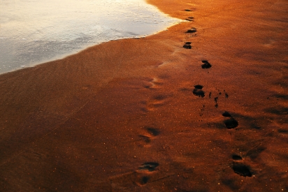 Obraz Stopy v písku