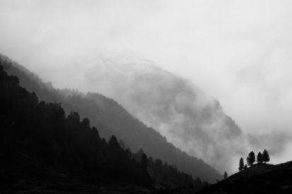 Obraz Černobílý obraz hor s mlhou a stromy