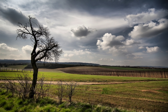 Obraz Česká krajina na konci léta